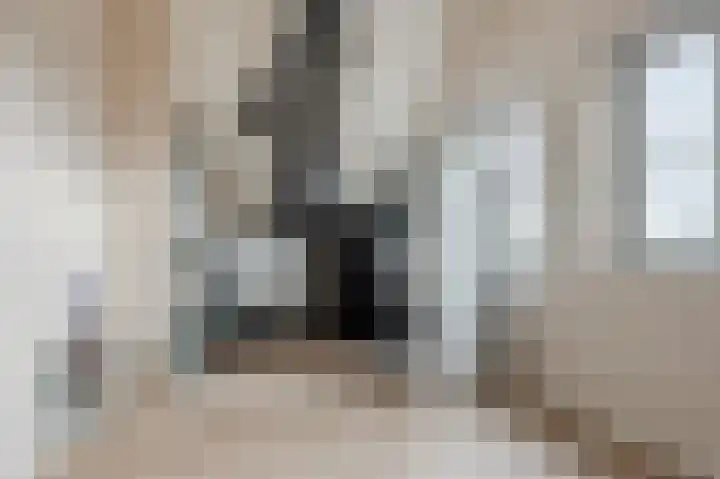 Rhijnhofweg 22 Oegstgeest thumbnail 39
