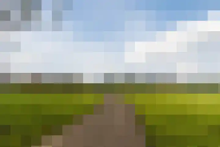 Rhijnhofweg 22 Oegstgeest thumbnail 51