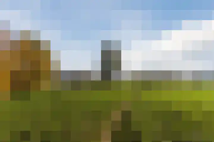 Rhijnhofweg 22 Oegstgeest thumbnail 52