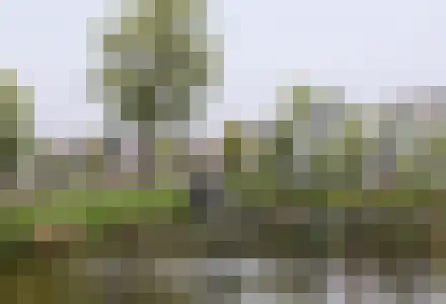 Rhijnhofweg 24 Oegstgeest thumbnail 55