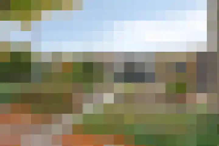 Rhijnsburglaan 40 Heerde thumbnail 25