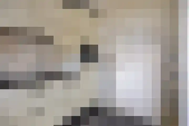 Rhijnsburglaan 40 Heerde thumbnail 7
