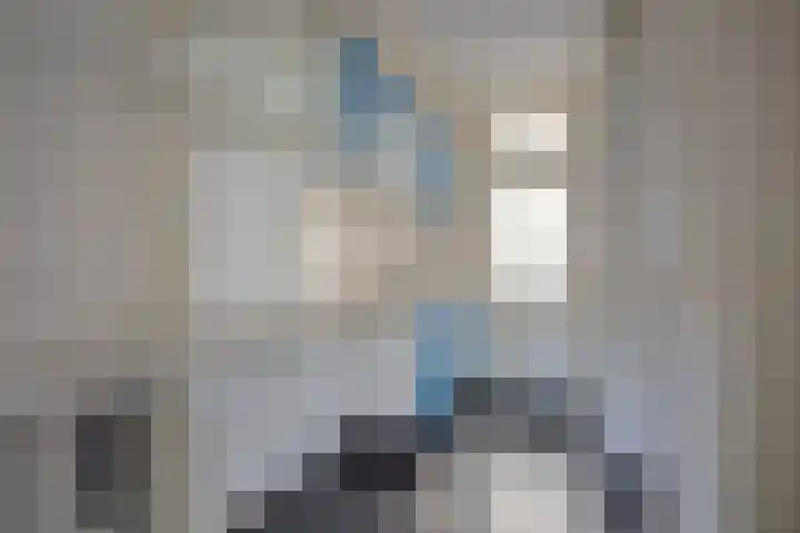 Rhijnsburglaan 40 Heerde thumbnail 8
