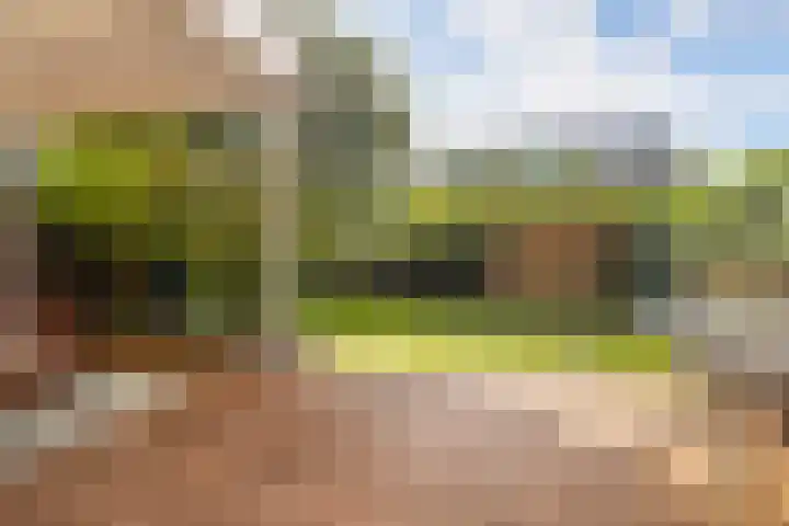 Rhijnspoor 10 Arnhem thumbnail 34