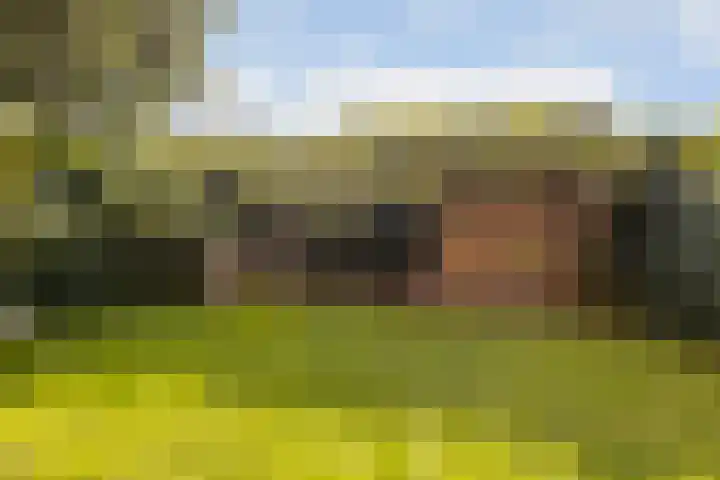 Rhijnspoor 10 Arnhem thumbnail 35