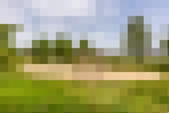 Rhijnspoor 10 Arnhem thumbnail 42