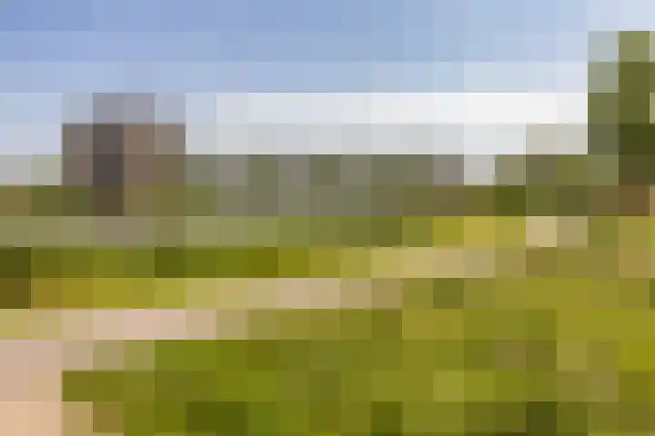 Rhijnspoor 10 Arnhem thumbnail 43