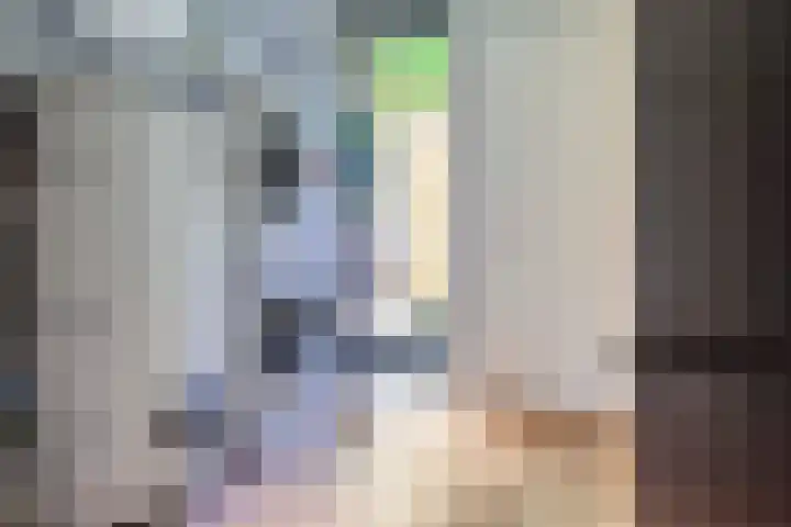 Rhijnvis Feithlaan 1 B Bussum thumbnail 13