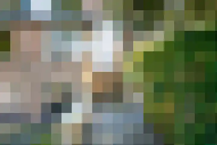 Rhijnvis Feithlaan 1 B Bussum thumbnail 36
