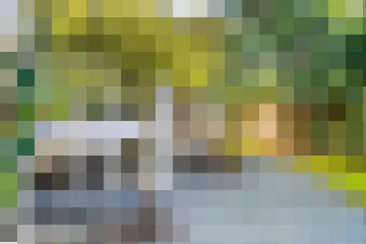 Rhijnvis Feithlaan 1 B Bussum thumbnail 37