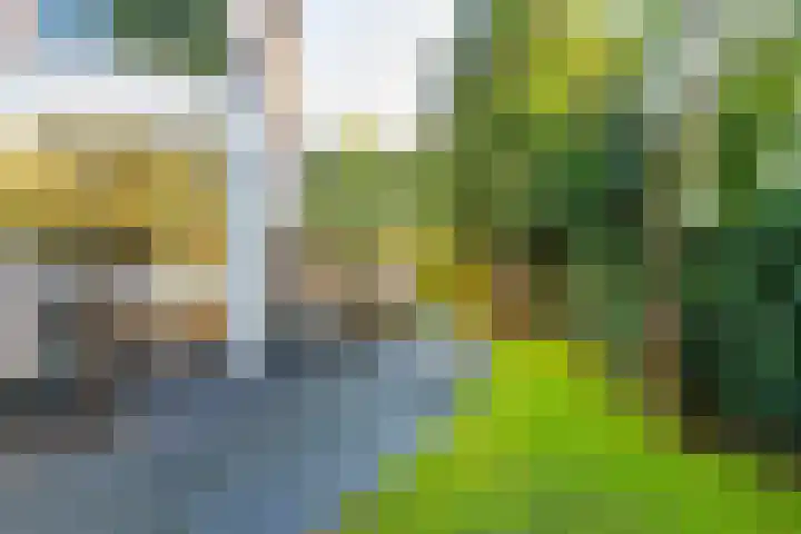 Rhijnvis Feithlaan 1 B Bussum thumbnail 38