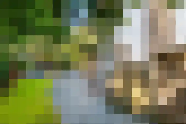 Rhijnvis Feithlaan 1 B Bussum thumbnail 39