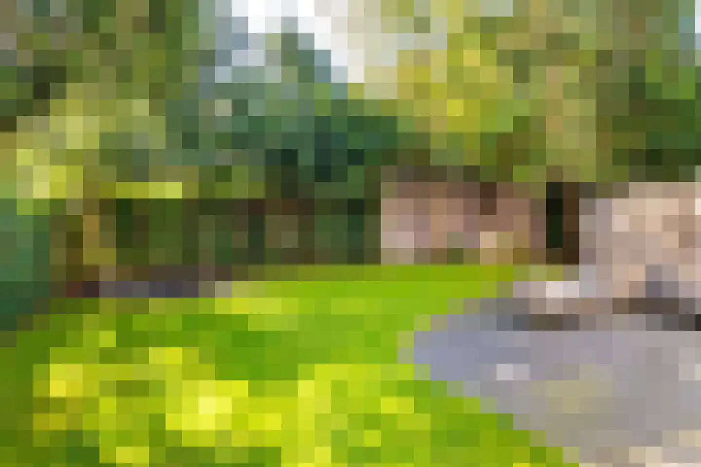 Rhijnvis Feithlaan 1 B Bussum thumbnail 40