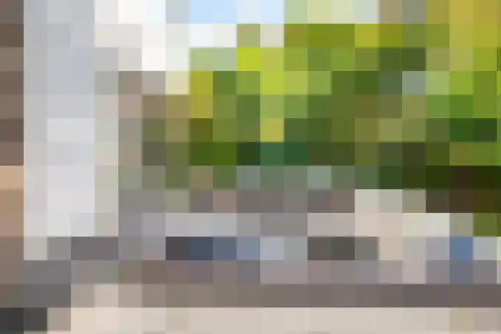Rhijnvis Feithlaan 1 B Bussum thumbnail 41