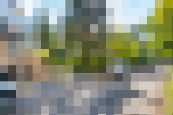 Rhijnvis Feithlaan 1 B Bussum thumbnail 42