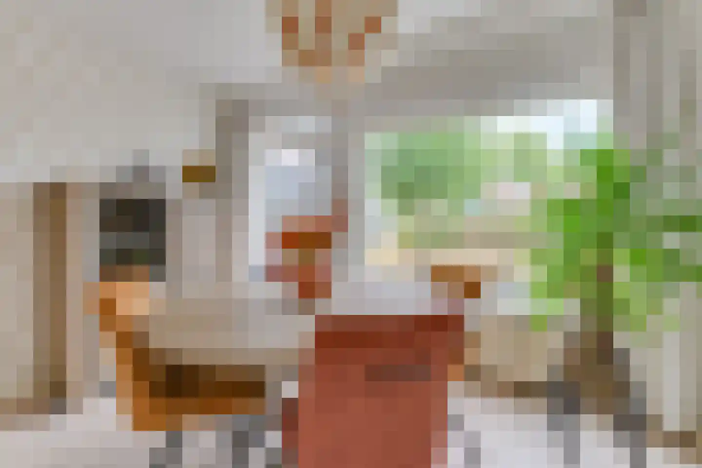 Rhijnvis Feithlaan 104 Alkmaar thumbnail 12