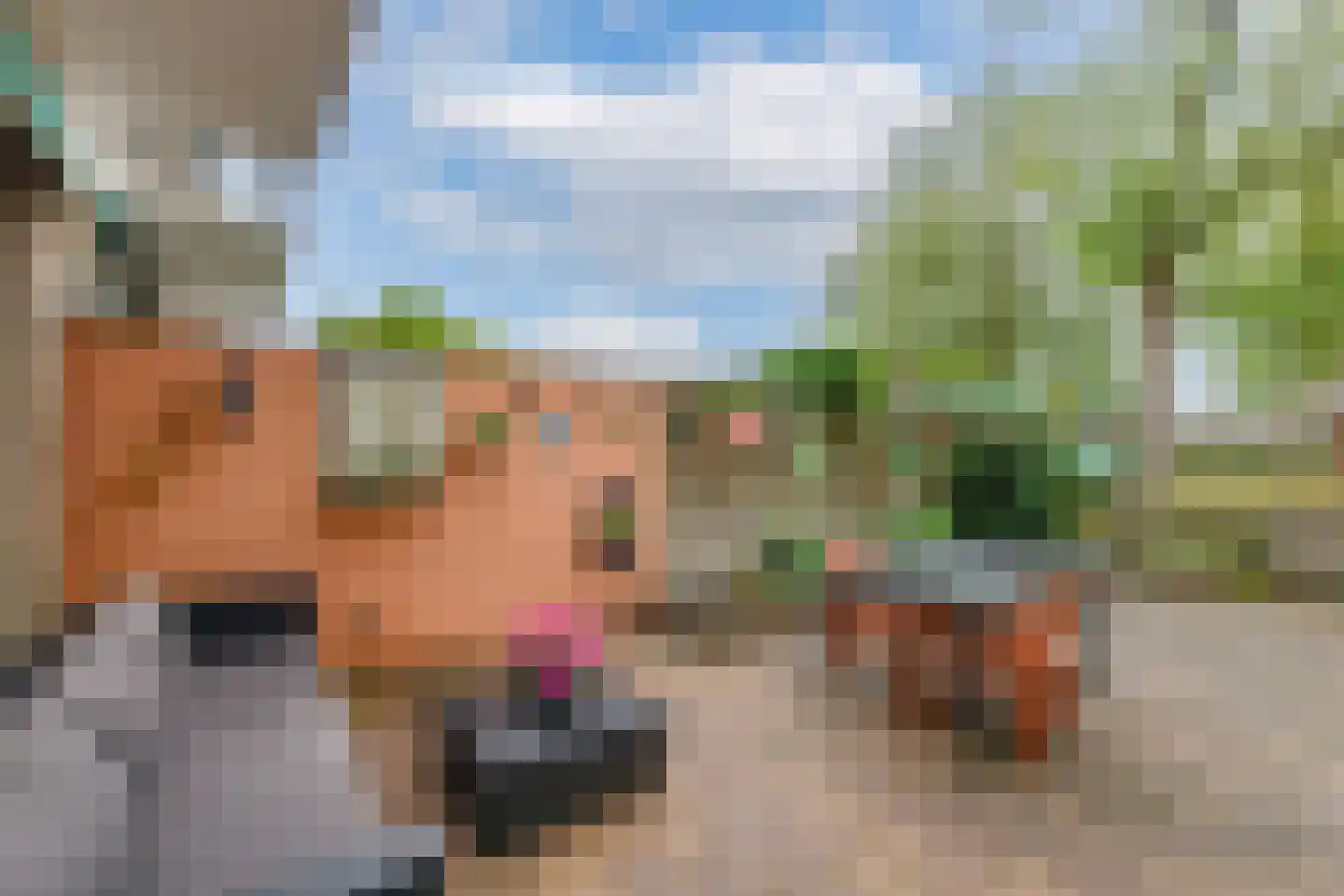 Rhijnvis Feithlaan 104 Alkmaar thumbnail 44