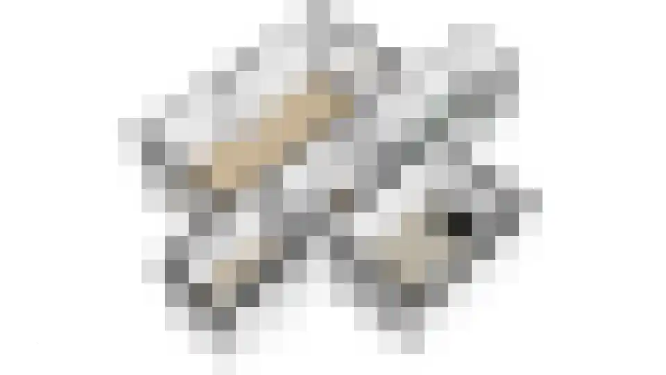Rhijnvis Feithlaan 104 Alkmaar thumbnail 59