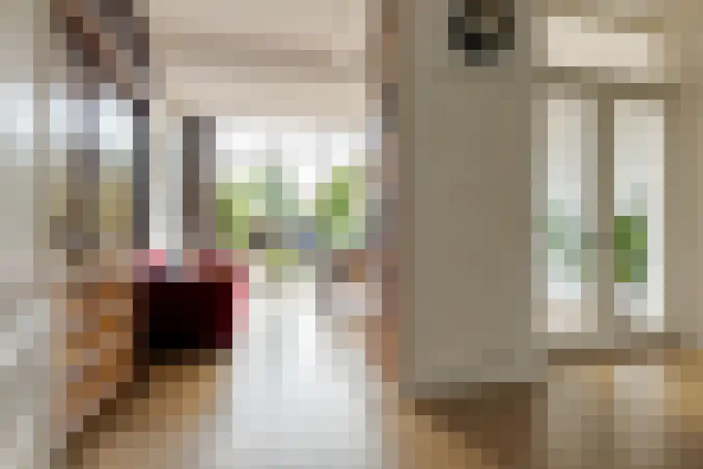 Rhijnvis Feithlaan 19 Zwolle thumbnail 13