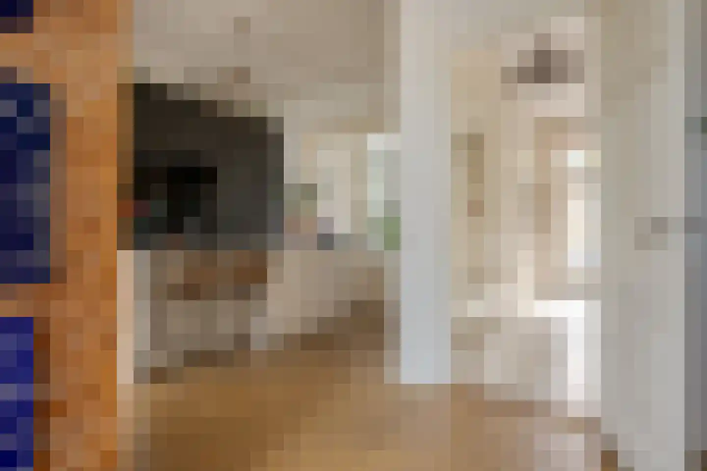 Rhijnvis Feithlaan 19 Zwolle thumbnail 14