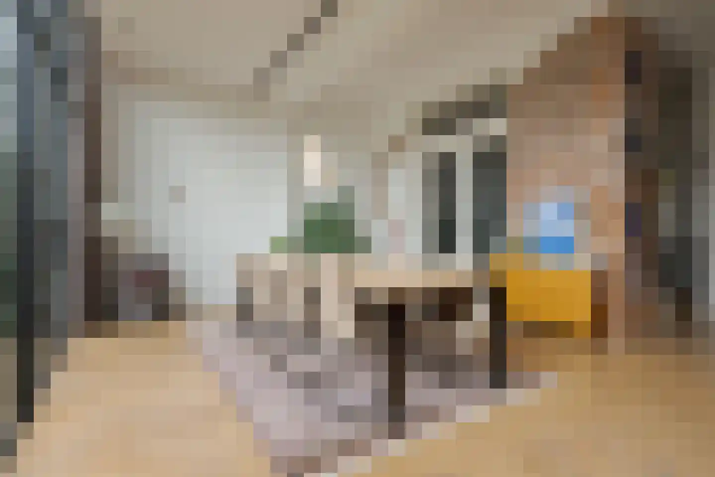 Rhijnvis Feithlaan 19 Zwolle thumbnail 17