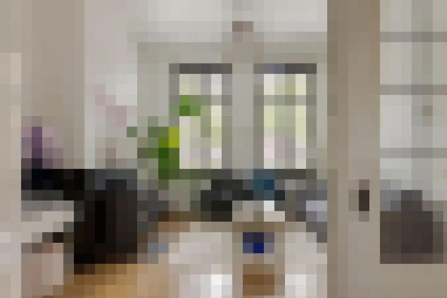 Rhijnvis Feithlaan 19 Zwolle thumbnail 27