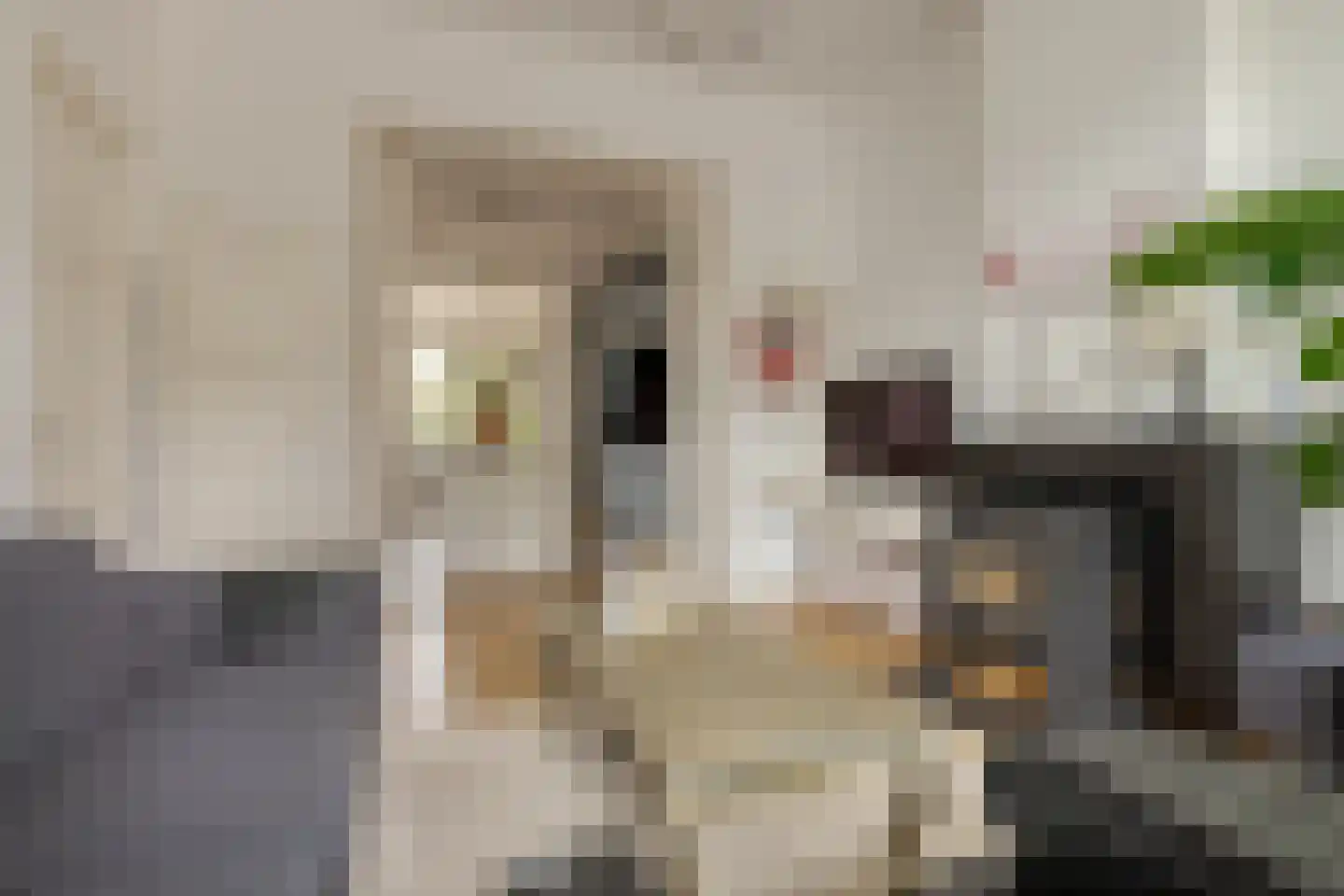 Rhijnvis Feithlaan 19 Zwolle thumbnail 30