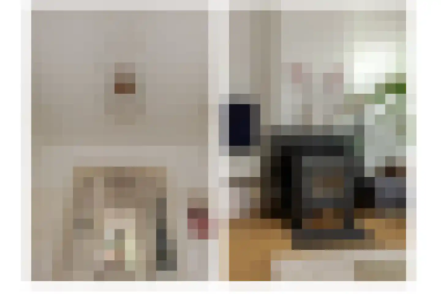 Rhijnvis Feithlaan 19 Zwolle thumbnail 31