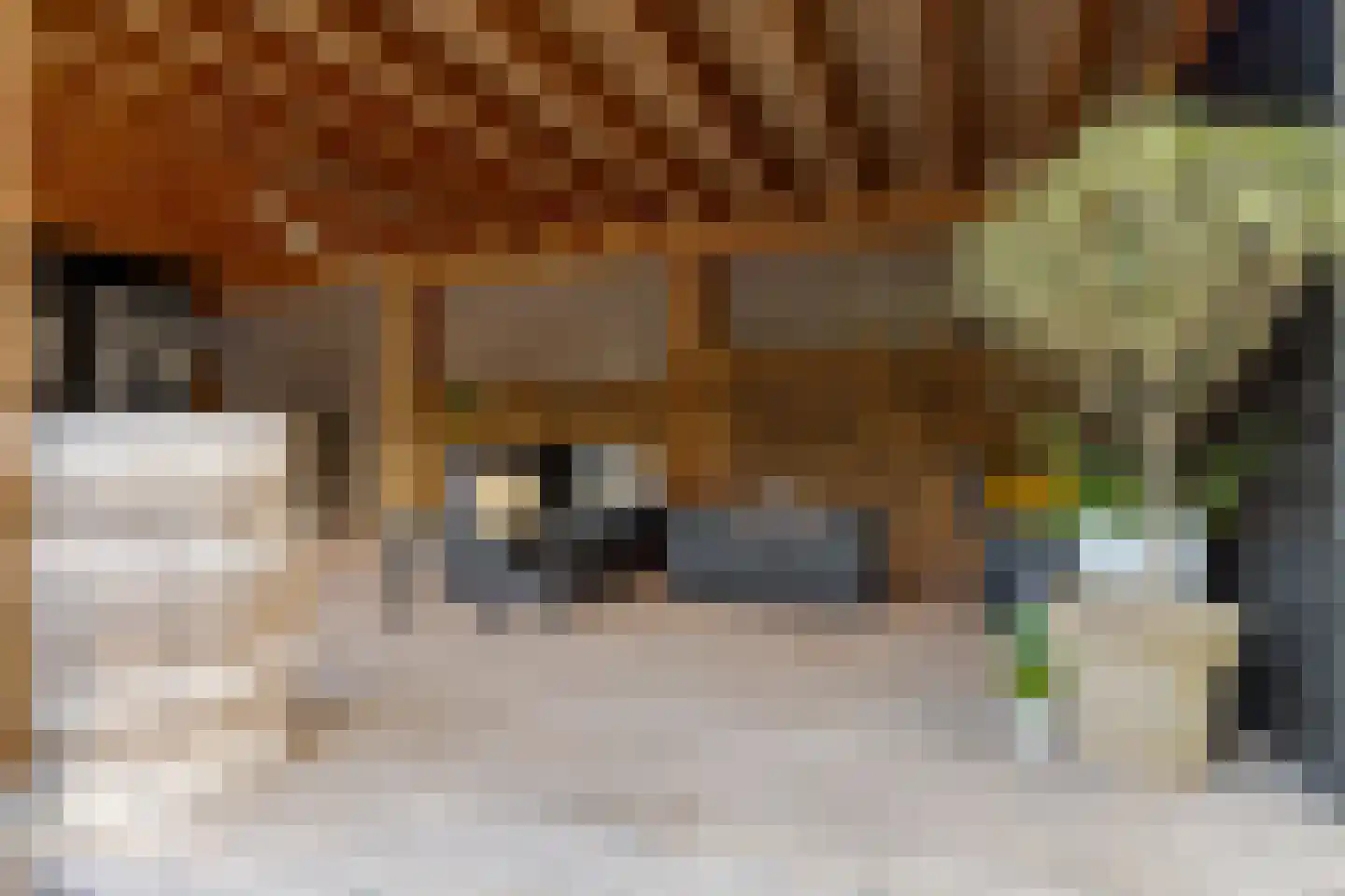 Rhijnvis Feithlaan 19 Zwolle thumbnail 37
