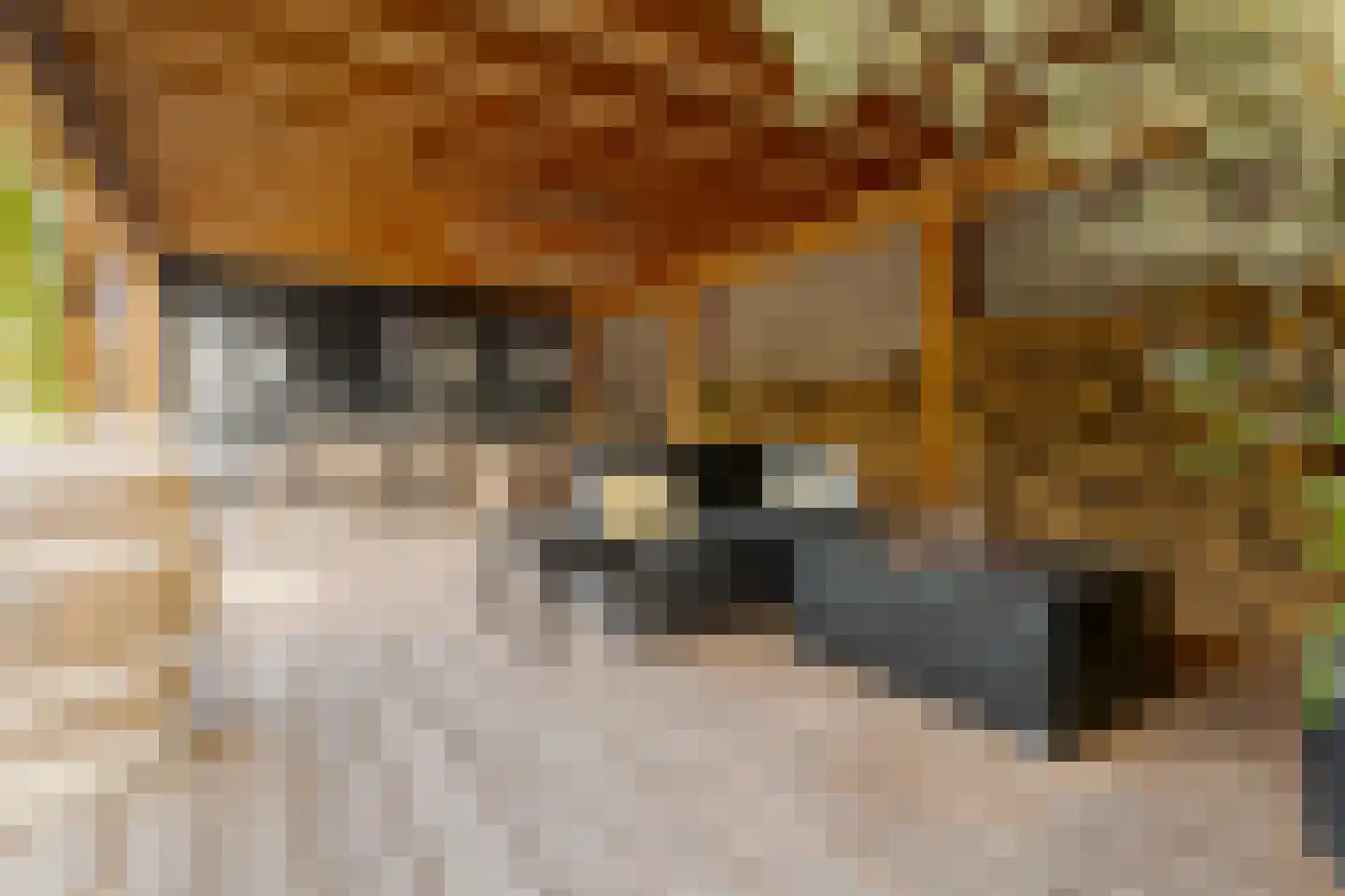 Rhijnvis Feithlaan 19 Zwolle thumbnail 38