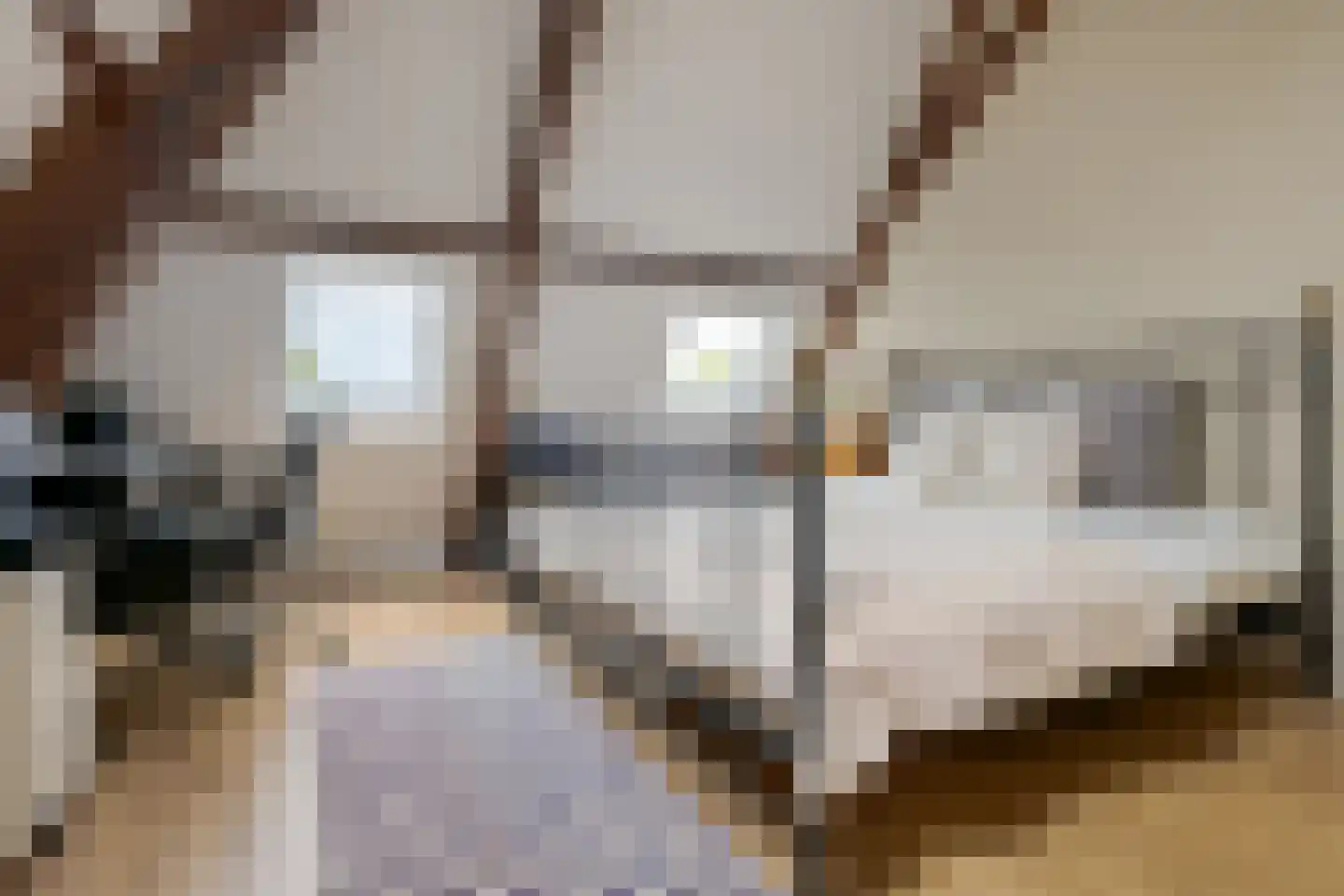 Rhijnvis Feithlaan 19 Zwolle thumbnail 60