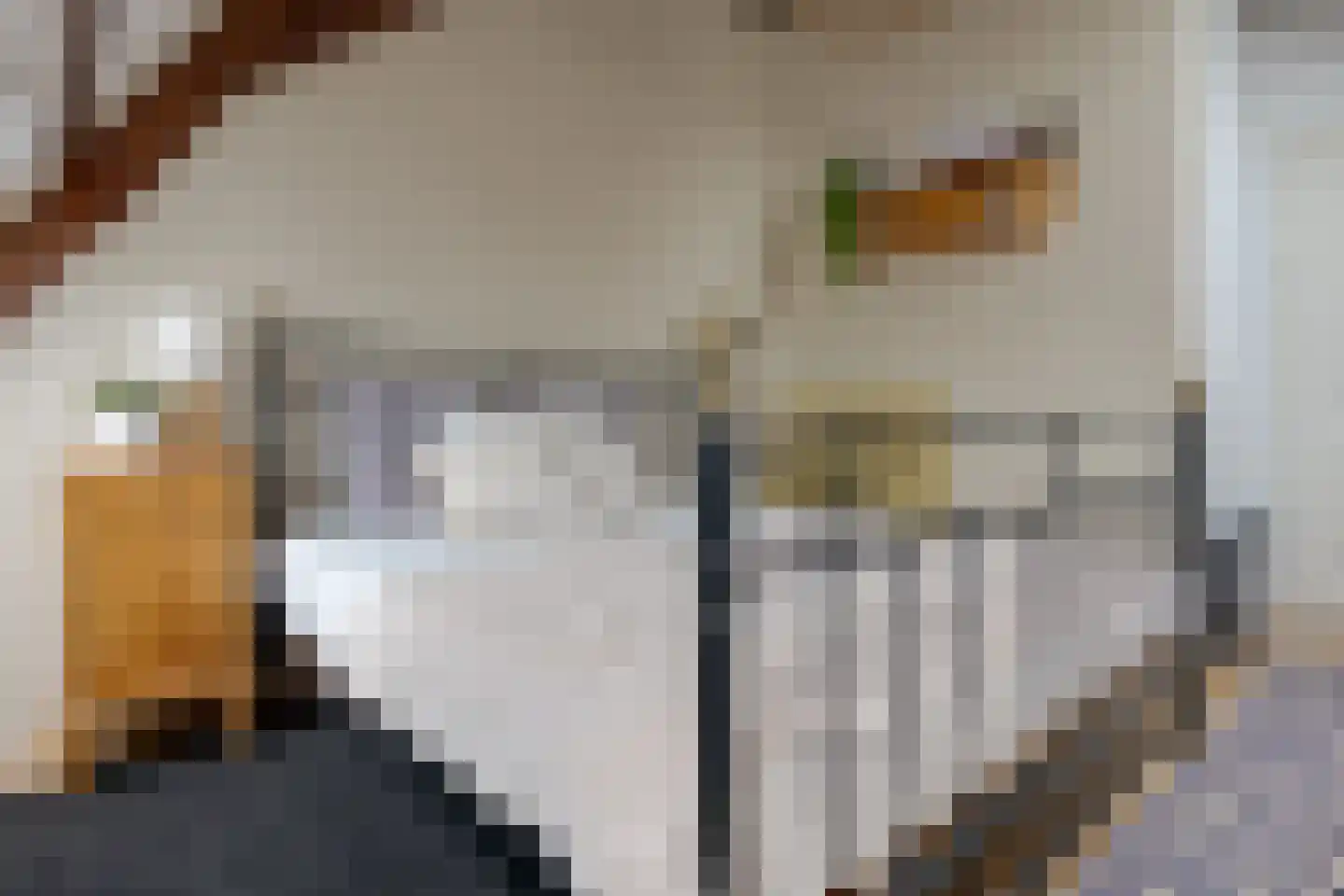 Rhijnvis Feithlaan 19 Zwolle thumbnail 61