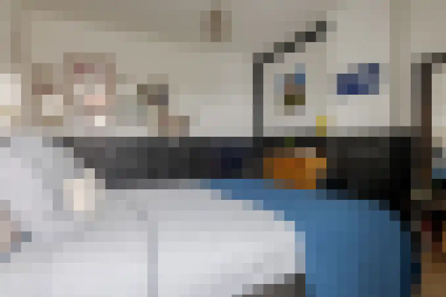 Rhijnvis Feithlaan 19 Zwolle thumbnail 64