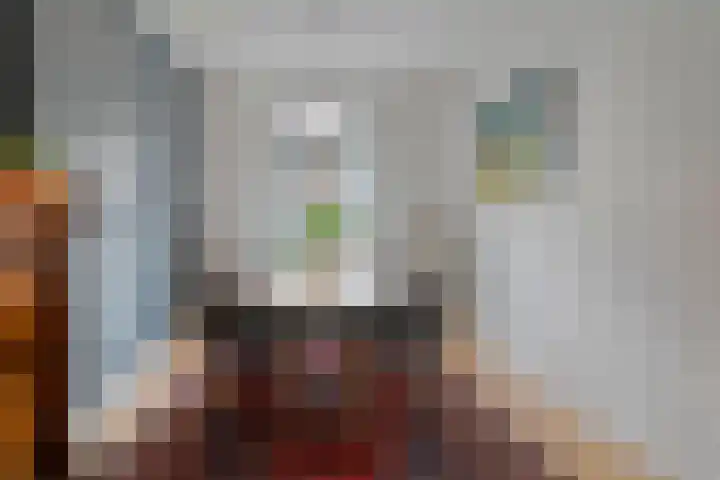 Rhijnvis Feithlaan 33 Zwolle thumbnail 12