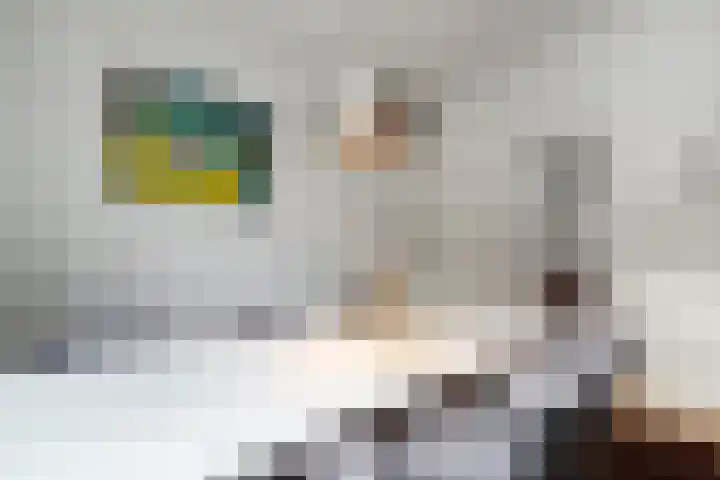 Rhijnvis Feithlaan 33 Zwolle thumbnail 13