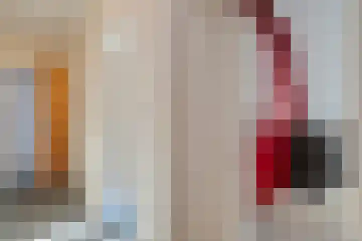 Rhijnvis Feithlaan 33 Zwolle thumbnail 24