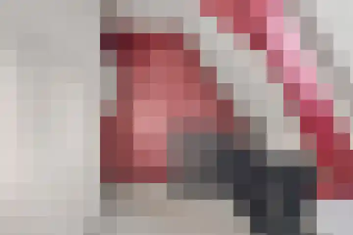 Rhijnvis Feithlaan 33 Zwolle thumbnail 26