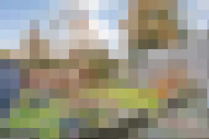 Rhijnvis Feithlaan 33 Zwolle thumbnail 33