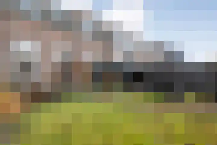 Rhijnvis Feithlaan 33 Zwolle thumbnail 34