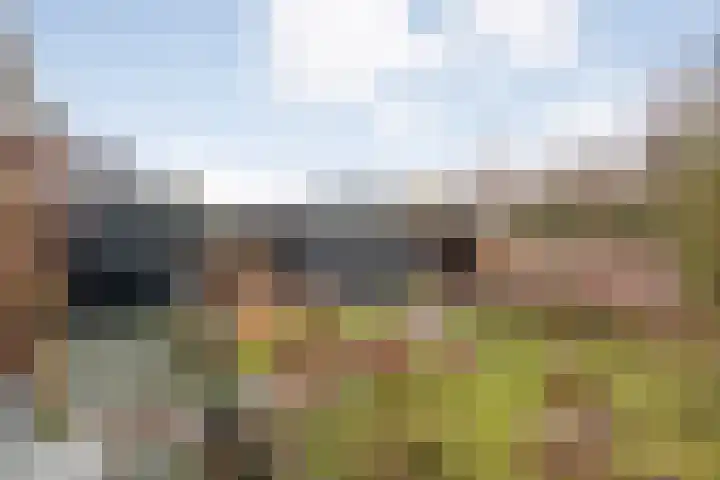 Rhijnvis Feithlaan 33 Zwolle thumbnail 35
