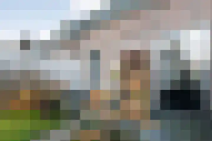 Rhijnvis Feithlaan 33 Zwolle thumbnail 36