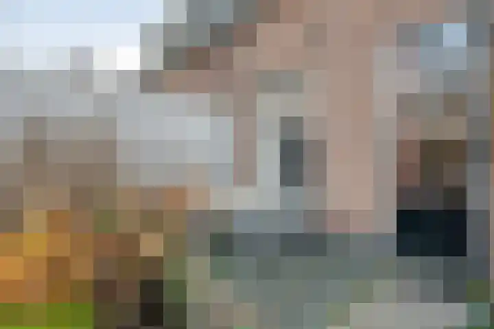 Rhijnvis Feithlaan 33 Zwolle thumbnail 37
