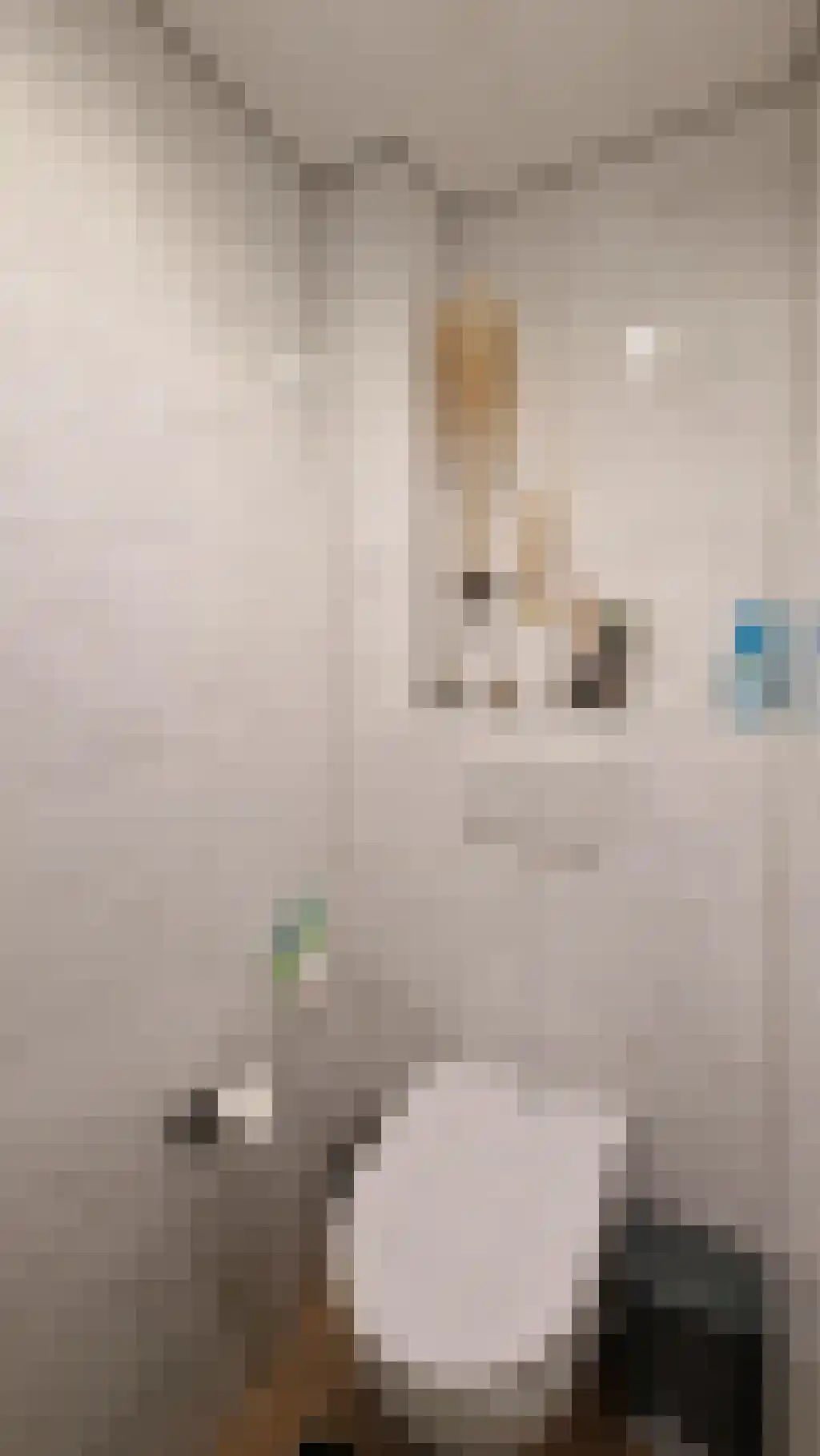 Rhijnvis Feithlaan 36 Alkmaar thumbnail 5