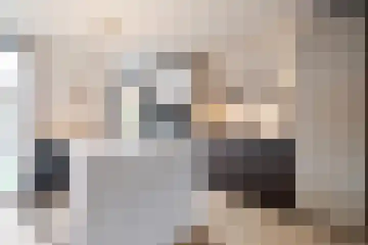Rhijnvis Feithlaan 41 Alkmaar thumbnail 15