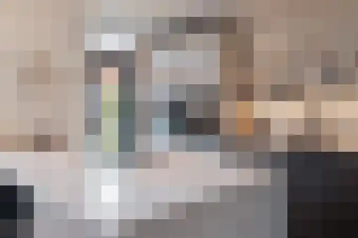 Rhijnvis Feithlaan 41 Alkmaar thumbnail 17
