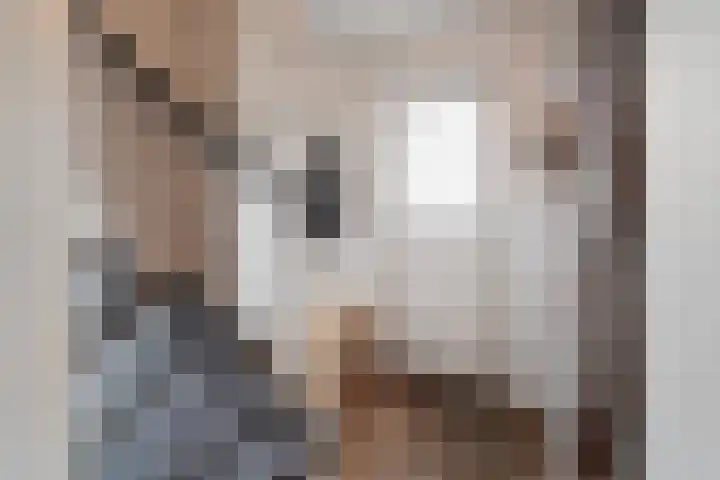Rhijnvis Feithlaan 41 Alkmaar thumbnail 18