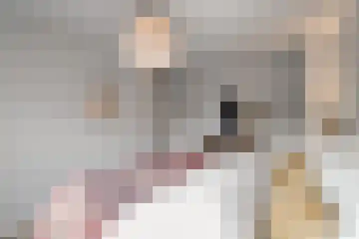 Rhijnvis Feithlaan 41 Alkmaar thumbnail 22