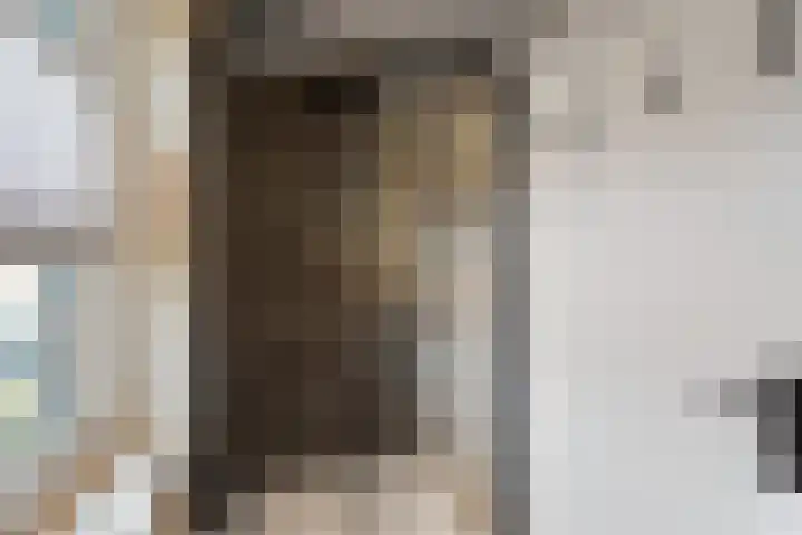 Rhijnvis Feithlaan 41 Alkmaar thumbnail 23