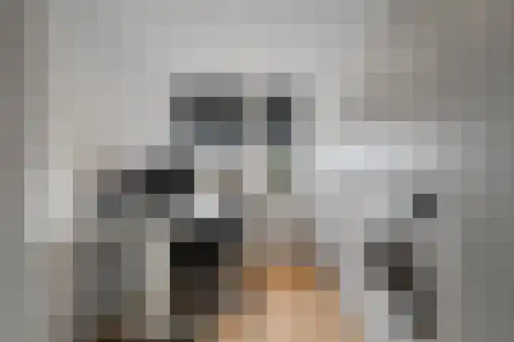 Rhijnvis Feithlaan 41 Alkmaar thumbnail 29