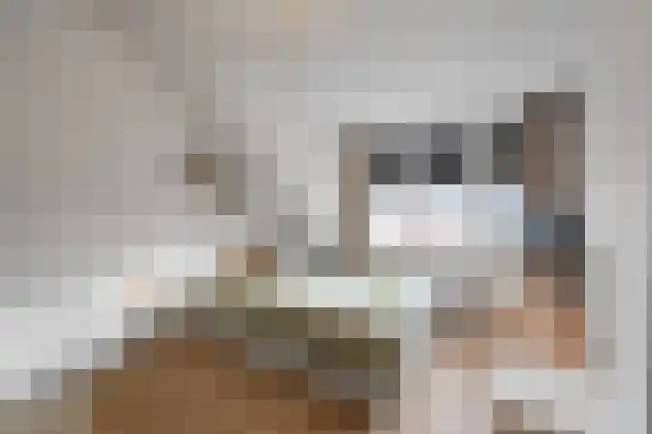 Rhijnvis Feithlaan 41 Alkmaar thumbnail 30